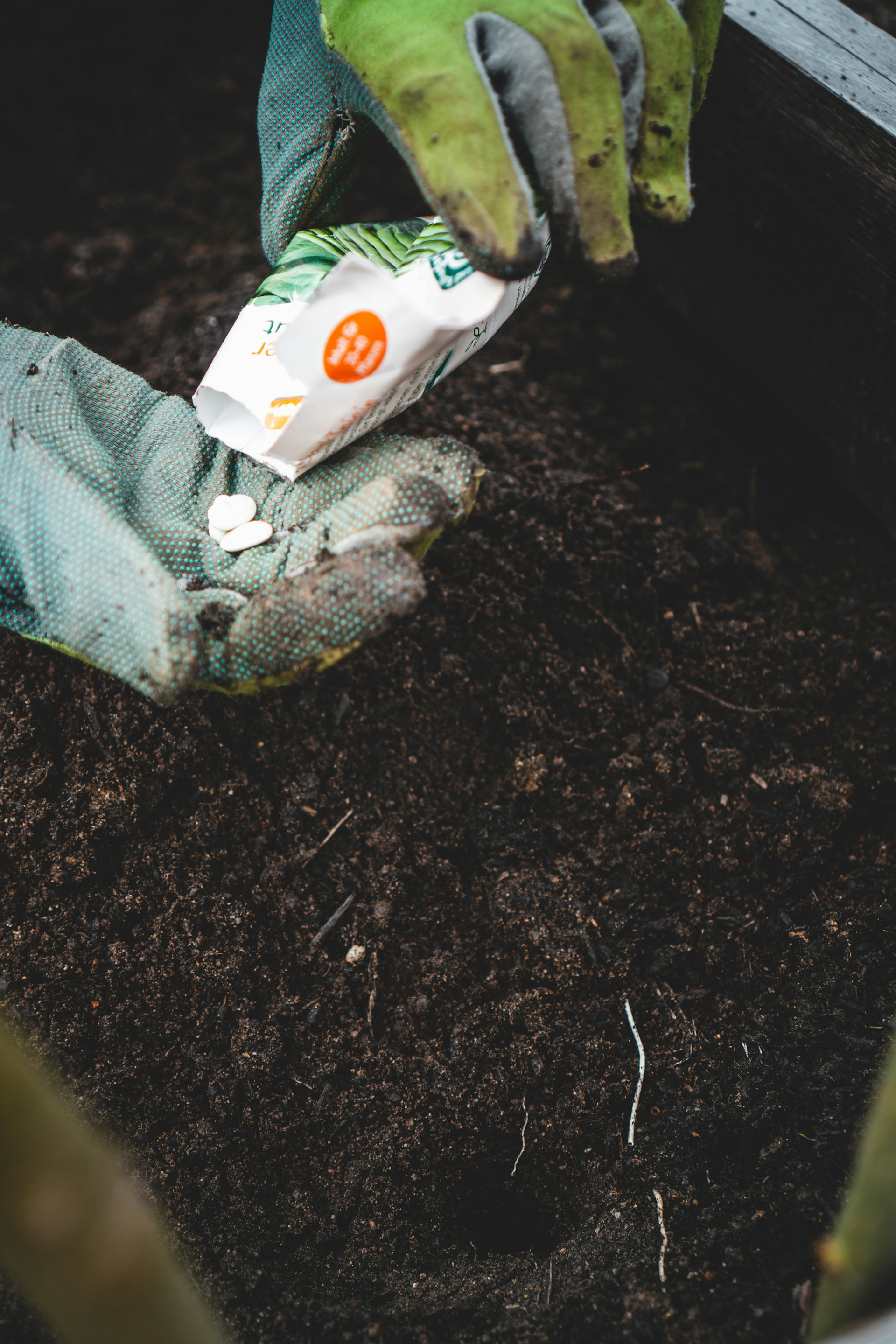 Soil Test